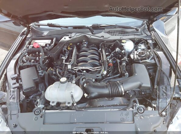 1FA6P8CF9M5157576 2021 FORD MUSTANG Black Вид ззаду