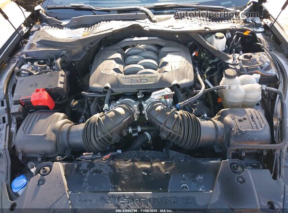 1FA6P8CF9R5411486 2024 FORD MUSTANG Gray Widok z tyłu