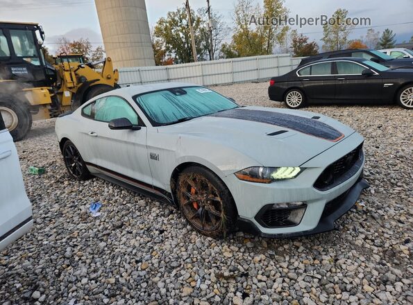 1FA6P8R08P5500188 2023 FORD MUSTANG Gray 