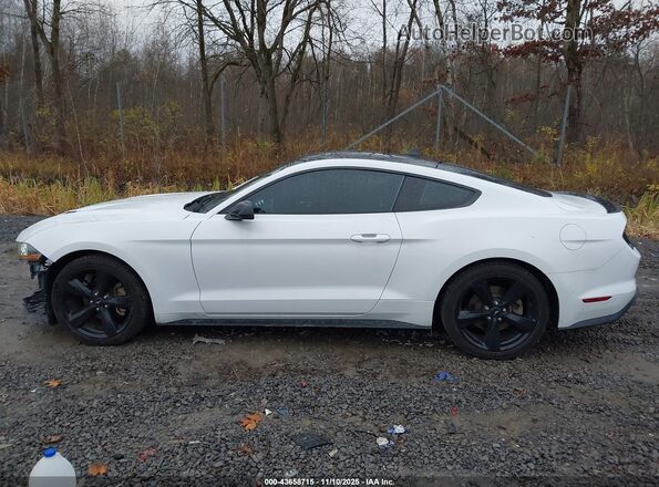 1FA6P8TH4N5126657 2022 FORD MUSTANG Белый Панорамный вид салона 360°