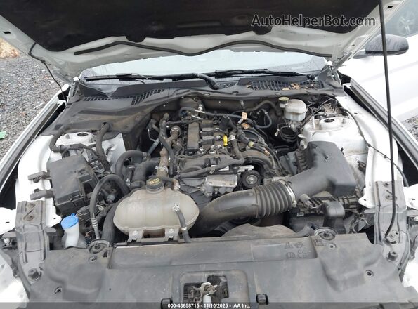 1FA6P8TH4N5126657 2022 FORD MUSTANG Белый Вид сзади
