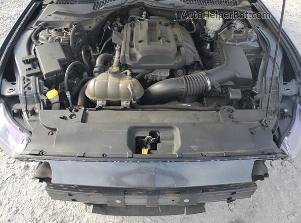 1FA6P8TH5G5210246 2016 FORD MUSTANG Серый Вид задней части салона