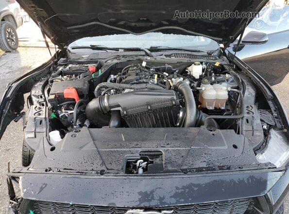 1FA6P8TH5R5119030 2024 FORD MUSTANG Black Vista interior trasera