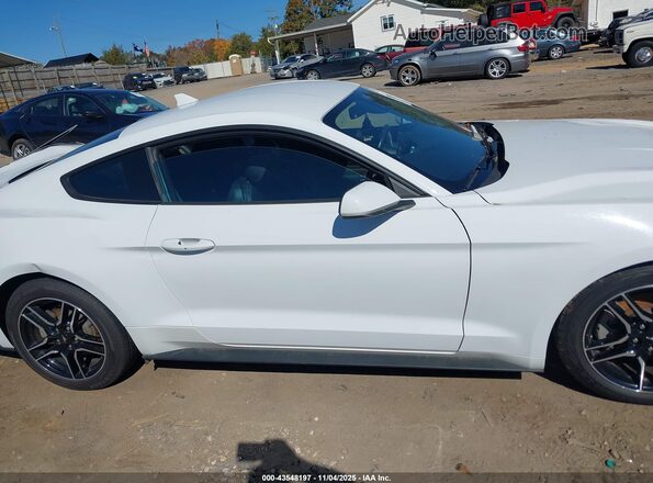 1FA6P8TH7P5109029 2023 FORD MUSTANG Белый 
