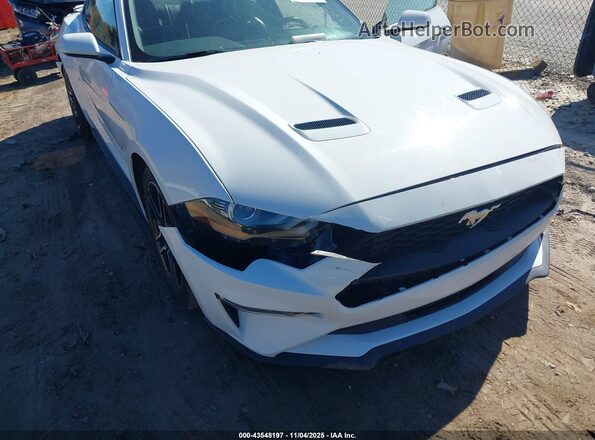 1FA6P8TH7P5109029 2023 FORD MUSTANG Белый 