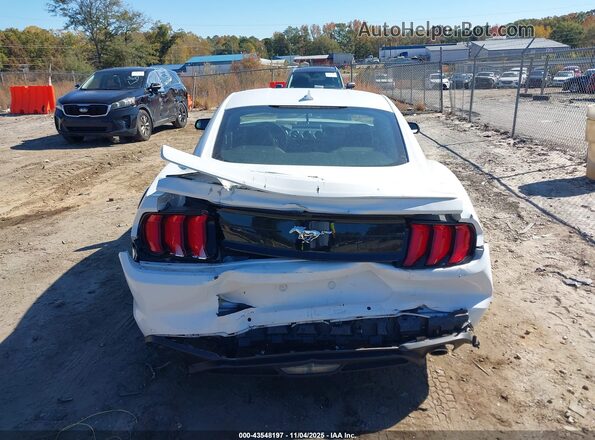 1FA6P8TH7P5109029 2023 FORD MUSTANG Белый 