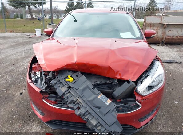 1FADP3F23JL246263 2018 FORD FOCUS Burgundy უკანა სალონის ხედი