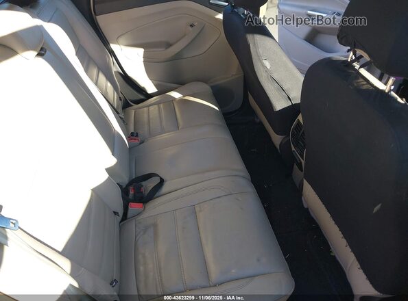 1FADP5FUXHL101406 2017 FORD C-MAX ENERGI Tan VIN կոդի պիտակի տեսք