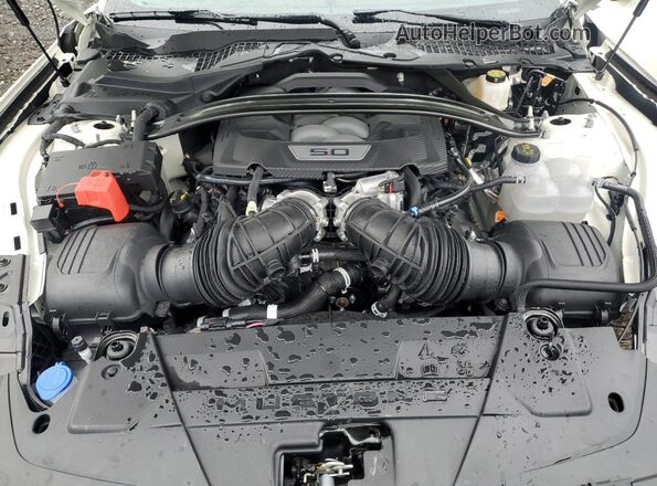 1FAGP8FF3S5113070 2025 FORD MUSTANG White Вид задньої частини салону