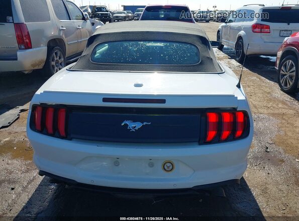 1FATP8UH1P5105267 2023 FORD MUSTANG White 