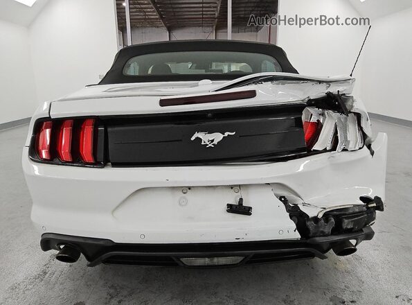1FATP8UH4P5104050 2023 FORD MUSTANG Белый Вид сзади