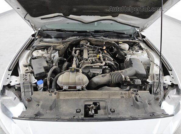 1FATP8UH4P5104050 2023 FORD MUSTANG Белый 