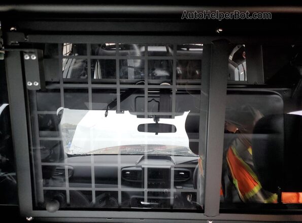 1FM5K8AB8RGA61448 2024 FORD FORD EXPLORER Белый Вид задних сидений