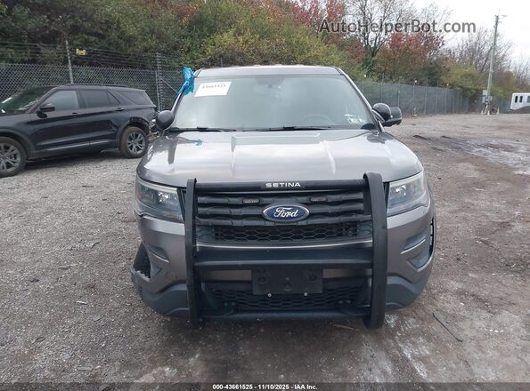 1FM5K8ARXKGA94096 2019 FORD POLICE INTERCEPTOR Gray 