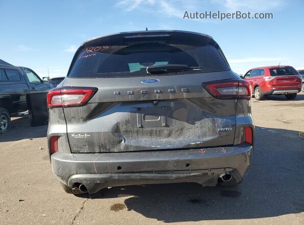 1FMCU9MN7RUB53939 2024 FORD ESCAPE Gray Widok z tyłu