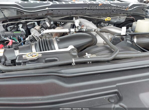 1FT7X2BT1MEE01465 2021 FORD F-250 White Вид ззаду