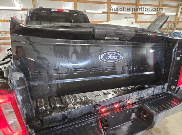 1FT8W3DT7SED24883 2025 FORD F350 Black 