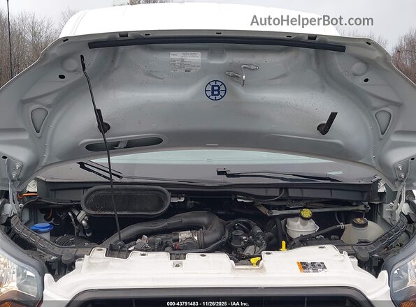 1FTBR1C82LKB43546 2020 FORD TRANSIT-250 White უკანა ხედი