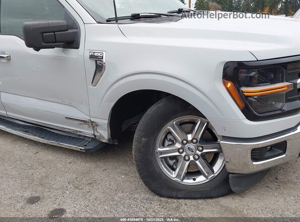 1FTFW3LD9RFA25014 2024 FORD F150 Серый Вид спереди