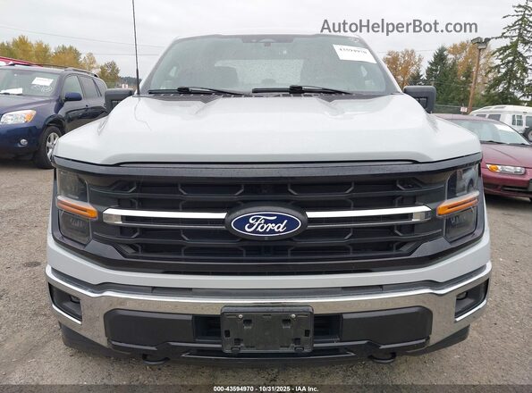 1FTFW3LD9RFA25014 2024 FORD F150 Серый Вид щитка приборов