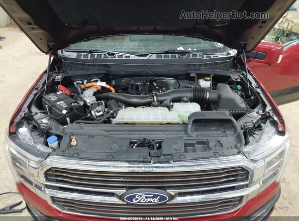 1FTFW6LD8RFA00655 2024 FORD F150 Red Rear view