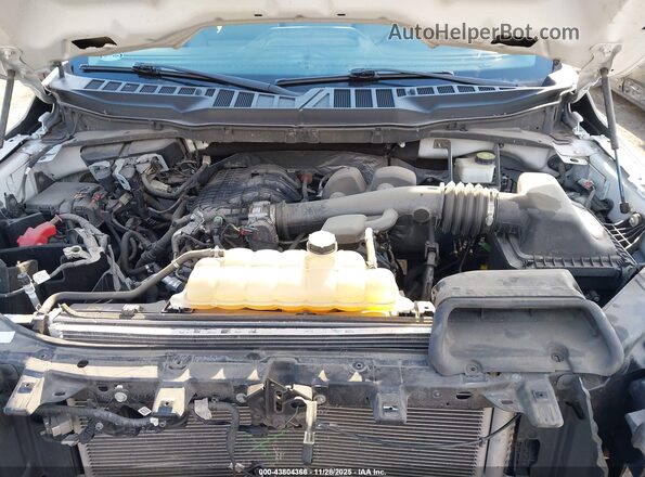 1FTMF1EBXNKE12583 2022 FORD F150 White Вид ззаду