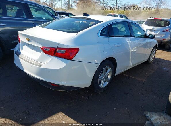 1G1ZB5ST4RF105651 2024 CHEVROLET MALIBU White Հետևի աջ