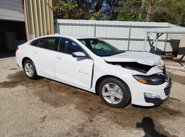 1G1ZD5ST5RF205669 2024 CHEVROLET MALIBU White 