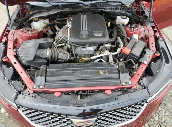 1G6DA5RK3P0126382 2023 CADILLAC CT4 Красный Вид задней части салона