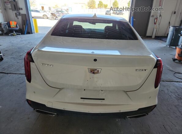 1G6DB5RK3N0109804 2022 CADILLAC CT4 Белый Вид сзади