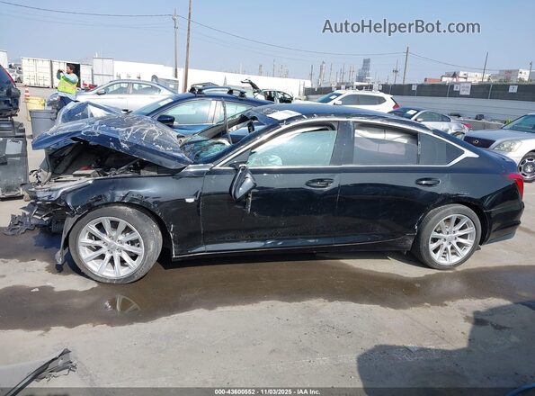 1G6DM5RK4M0113501 2021 CADILLAC CT5 Black Vista interior trasera