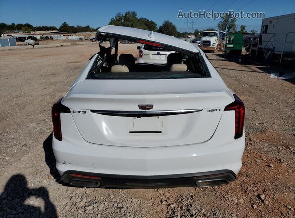 1G6DM5RK8L0151005 2020 CADILLAC CT5 Белый 