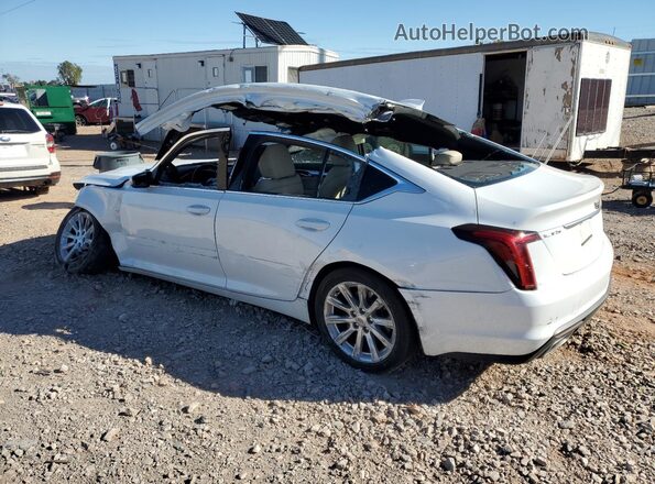 1G6DM5RK8L0151005 2020 CADILLAC CT5 Белый 