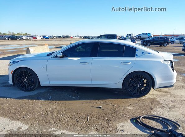 1G6DN5RK1P0145369 2023 CADILLAC CT5 White 