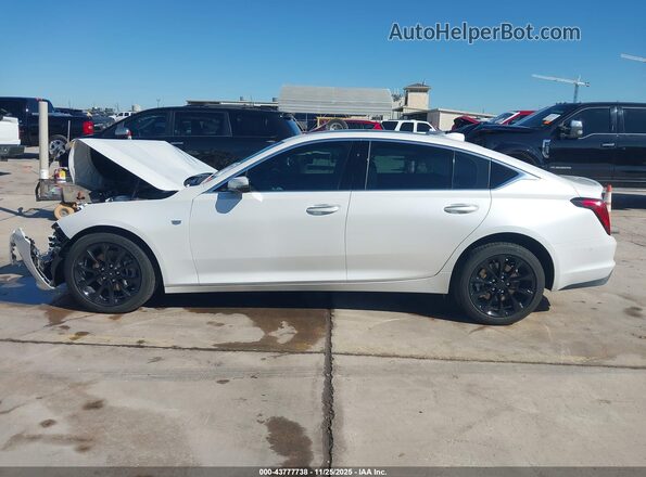 1G6DN5RW2R0111138 2024 CADILLAC CT5 White Widok wnętrza 360 stopni