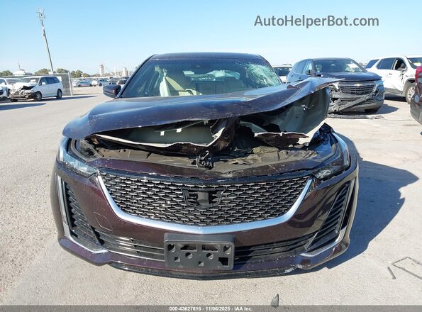 1G6DW5RK2M0109943 2021 CADILLAC CT5 Темно-бордовый Вид задней части салона