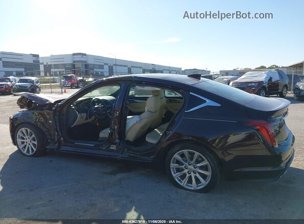 1G6DW5RK2M0109943 2021 CADILLAC CT5 Темно-бордовый 