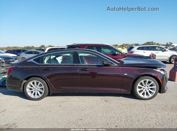 1G6DW5RK2M0109943 2021 CADILLAC CT5 Темно-бордовый Панорамный вид салона 360°