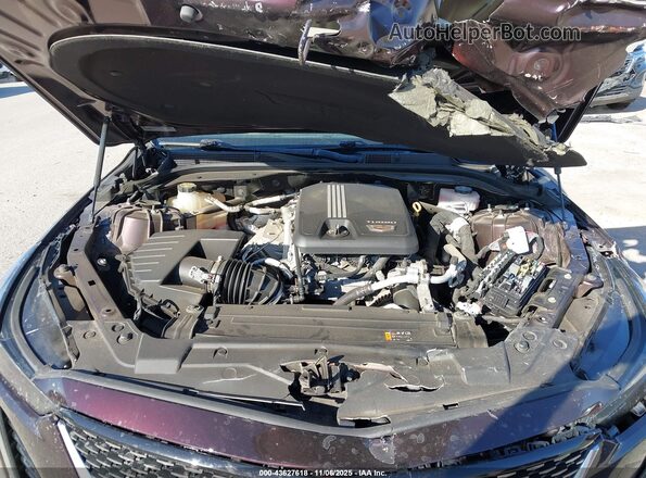 1G6DW5RK2M0109943 2021 CADILLAC CT5 Темно-бордовый Вид сзади