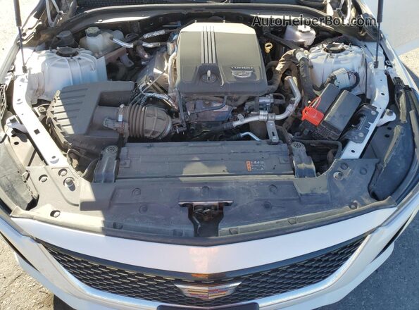 1G6DW5RKXM0122309 2021 CADILLAC CT5 Белый 