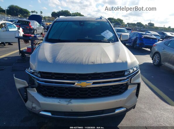 1GNSCBKD4MR236820 2021 CHEVROLET SUBURBAN Серый Вид задней части салона