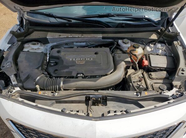 1GYAZAR4XPF121724 2023 CADILLAC XT4 White 