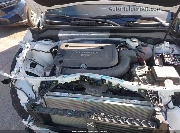 1GYFZCR40RF173450 2024 CADILLAC XT4 Brown Widok z tyłu