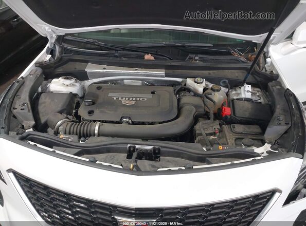 1GYFZDR41MF057009 2021 CADILLAC XT4 White უკანა ხედი