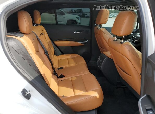 1GYFZDR41NF101916 2022 CADILLAC XT4 Белый Вид задней части салона