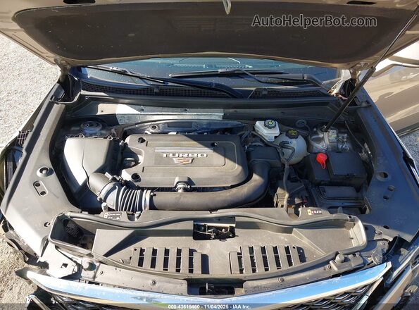 1GYFZDR41RF202136 2024 CADILLAC XT4 Champagne Вид сзади