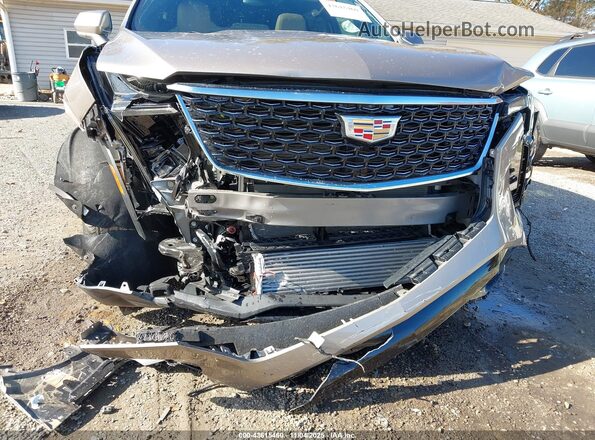1GYFZDR41RF202136 2024 CADILLAC XT4 Champagne Вид спереди