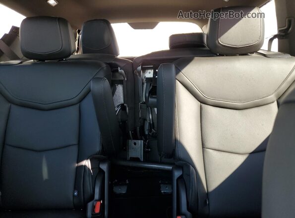 1GYKPCRS7SZ103418 2025 CADILLAC OTHER Black Vista de los asientos traseros