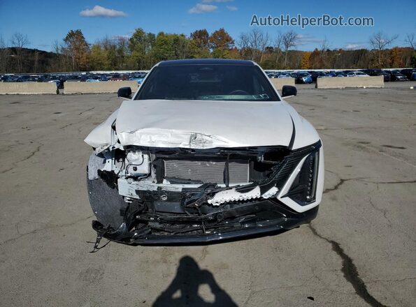 1GYKPVRL7RZ121464 2024 CADILLAC OTHER Белый Вид спереди