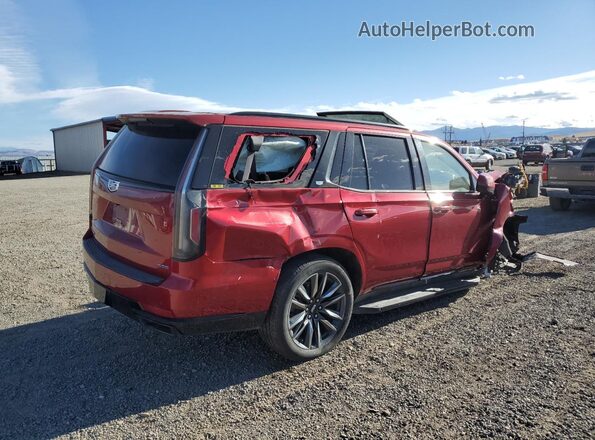 1GYS4EKL0PR338399 2023 CADILLAC ESCALADE Red Rear right